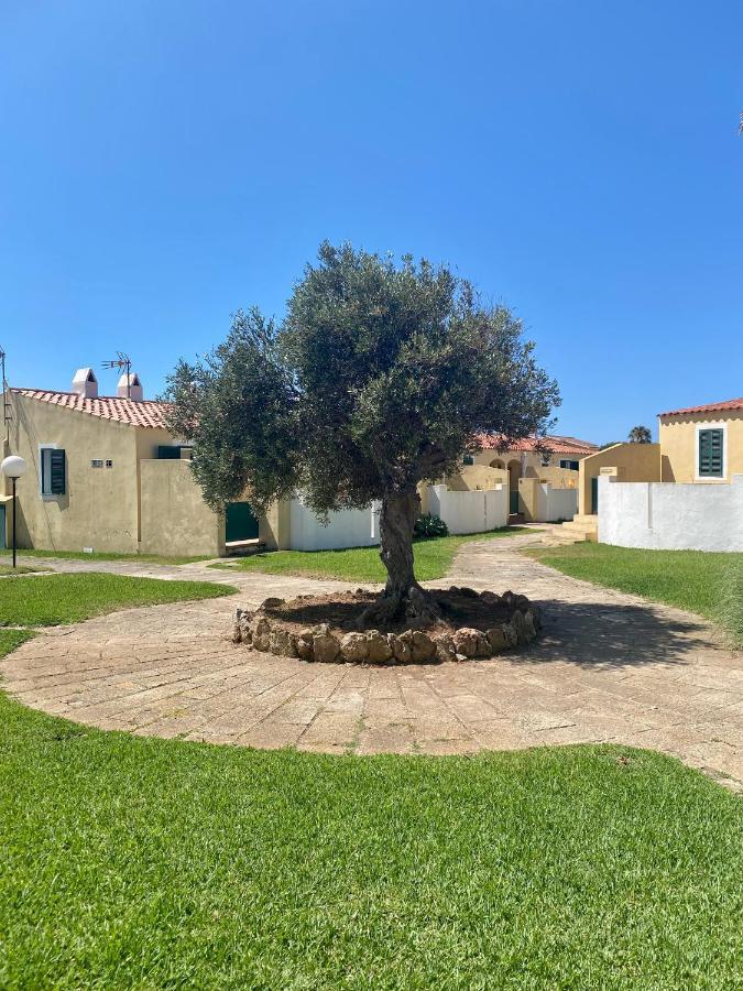 Apartamento 7 Palmeras Ciutadella  Exterior foto